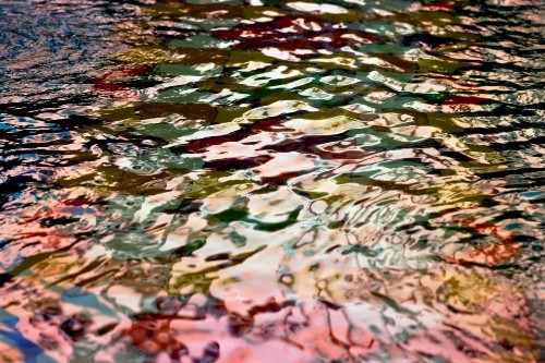 The Westin Pasadena - image 24