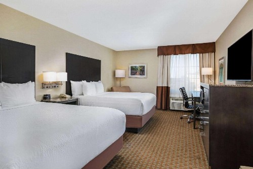 La Quinta by Wyndham Paso Robles - image 9