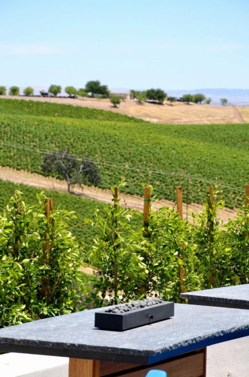 Manucci Winery- Wild Coyote B&B - image 30