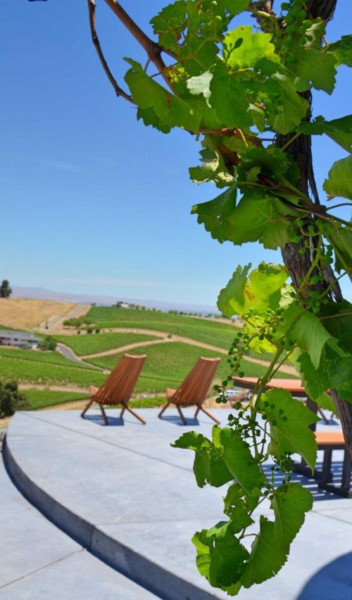 Manucci Winery- Wild Coyote B&B - image 33
