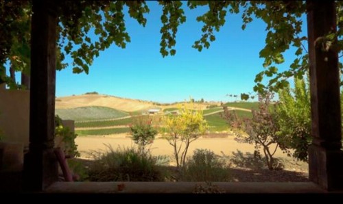 Manucci Winery- Wild Coyote B&B - image 40
