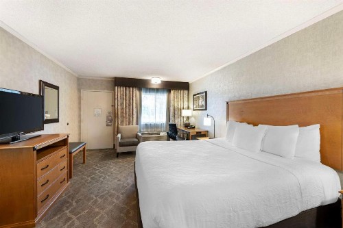 Best Western Plus Black Oak - image 7
