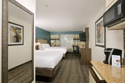 Holiday Inn Express Hotel & Suites - Paso Robles an IHG Hotel - image 24