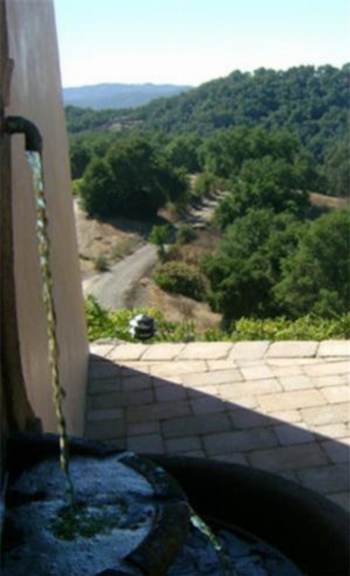 Dunning Vineyards Guest Villa - image 14