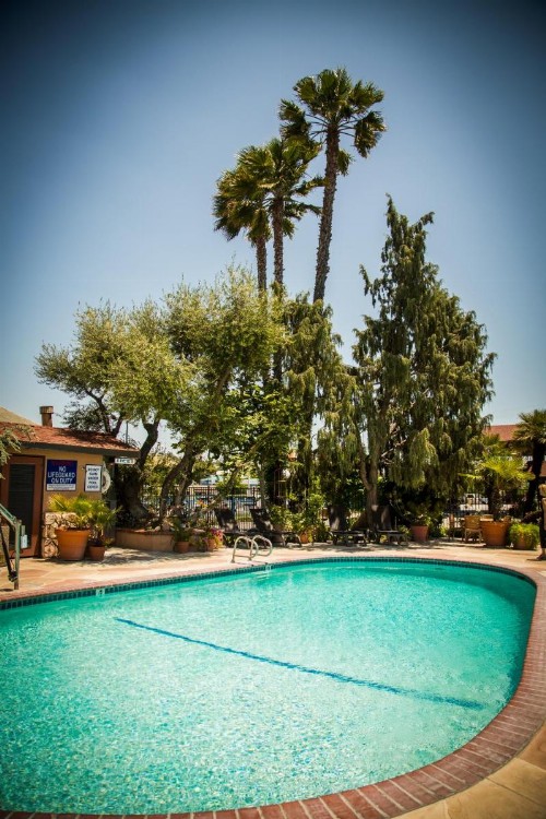 Adelaide Inn - image 13