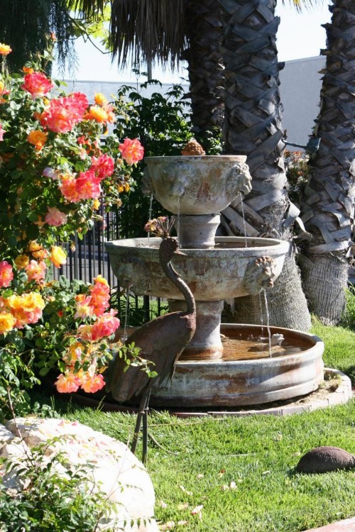 Adelaide Inn - image 24