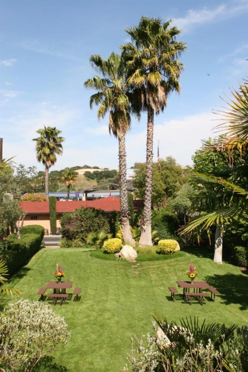 Adelaide Inn - image 26