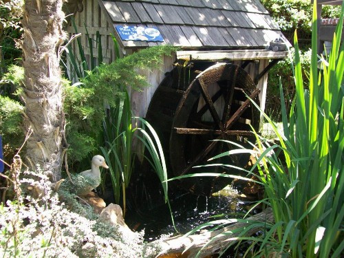 Adelaide Inn - image 27
