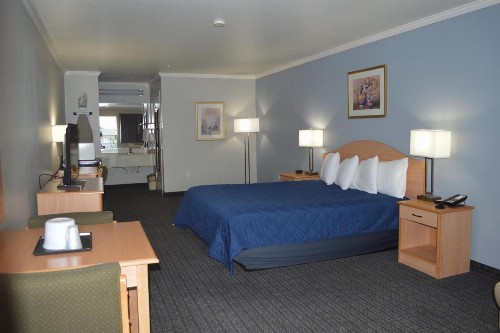 Budget Inn - image 20
