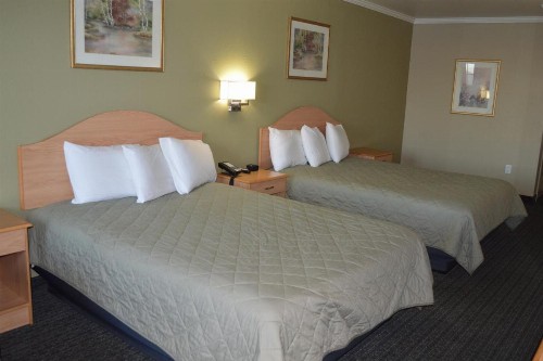 Budget Inn - image 9