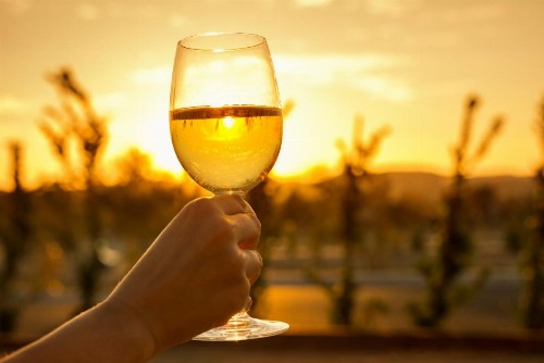 Allegretto Vineyard Resort Paso Robles - image 12