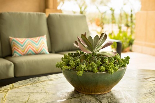 Allegretto Vineyard Resort Paso Robles - image 16