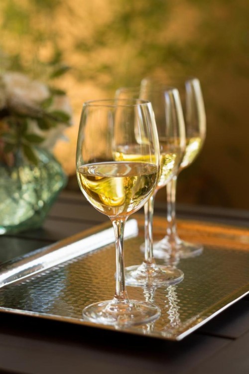 Allegretto Vineyard Resort Paso Robles - image 26