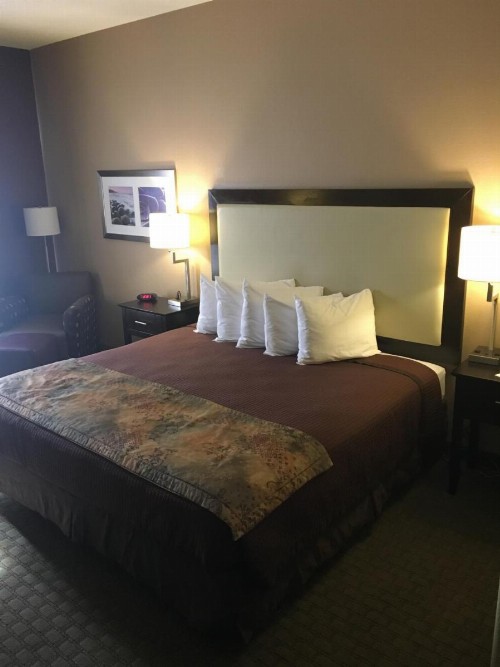Best Western Pawleys Island - image 18