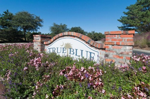 Pawleys Island Vacation Rentals llc - image 14