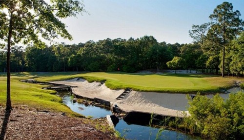 Pawleys Island Vacation Rentals llc - image 16