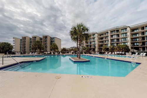 Palmetto Sunrise - image 8
