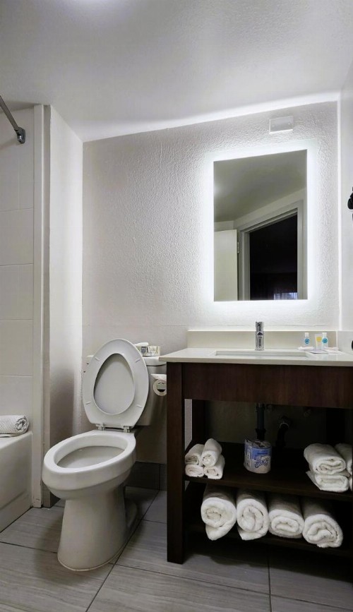 Comfort Inn Pensacola - University Area - image 25