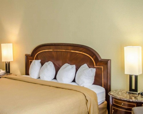 Quality Inn & Suites Pensacola Bayview - image 21