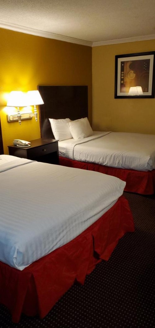 Sweet Dream Inn - image 3