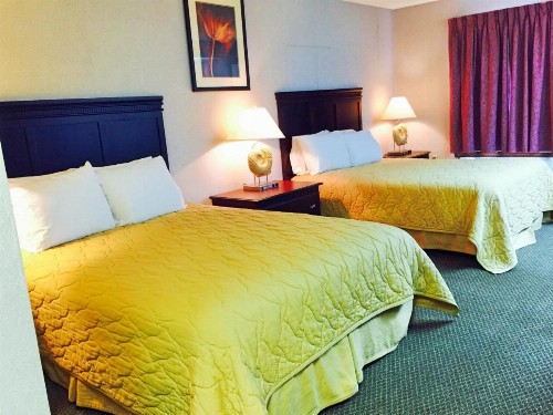 Key West Inn - Pensacola - image 16