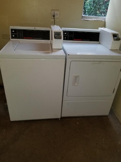 Executive Inn - image 17