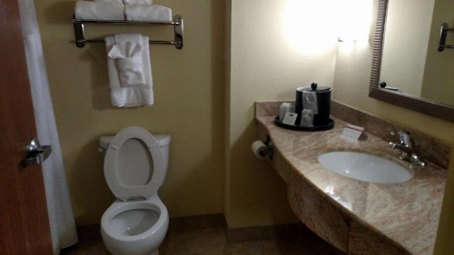 Holiday Inn Express Hotel & Suites Perry an IHG Hotel - image 35