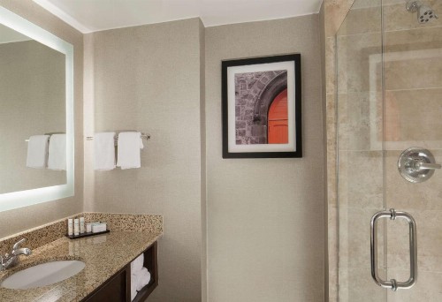 Embassy Suites by Hilton Philadelphia Airport - image 43