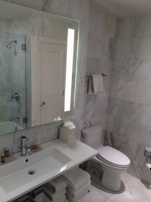 Chestnut Hill Hotel - image 34