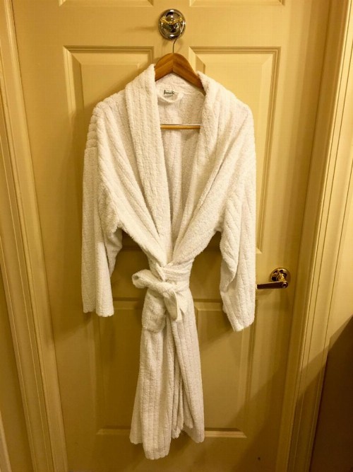 Chestnut Hill Hotel - image 42