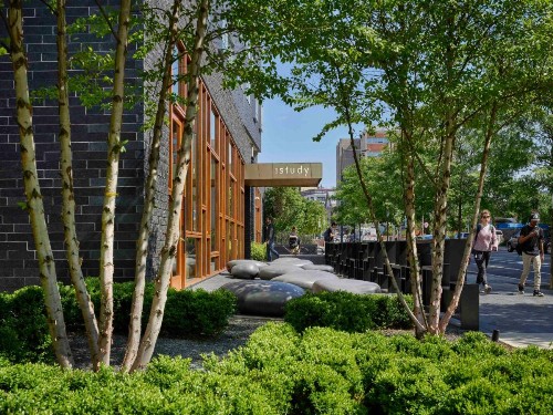 The Study at University City Study Hotels - image 3