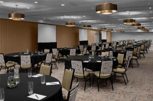 Embassy Suites Phoenix - Biltmore - image 37