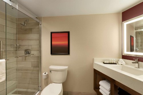 Embassy Suites by Hilton Phoenix Downtown North - image 22