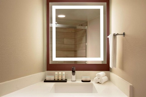 Embassy Suites by Hilton Phoenix Downtown North - image 34