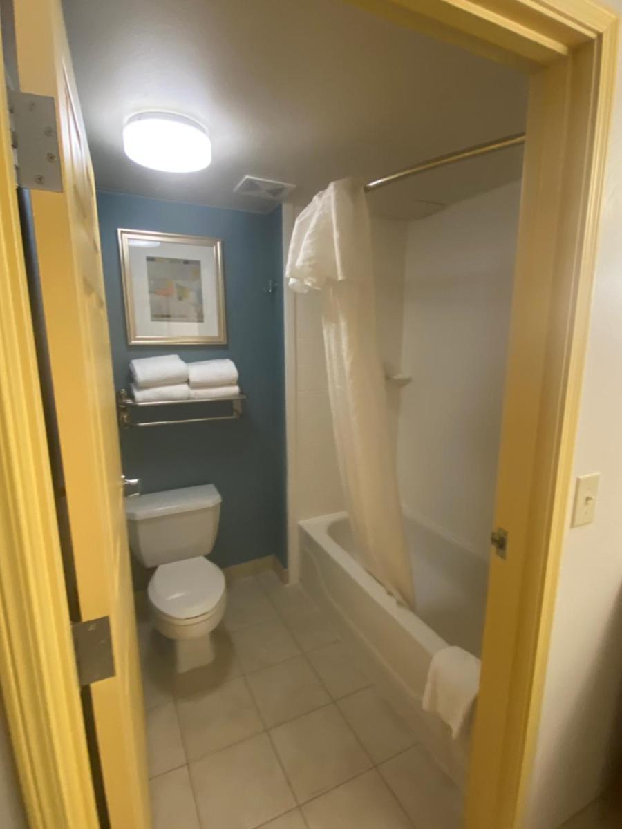 Homewood Suites Phoenix-Metro Center - image 7