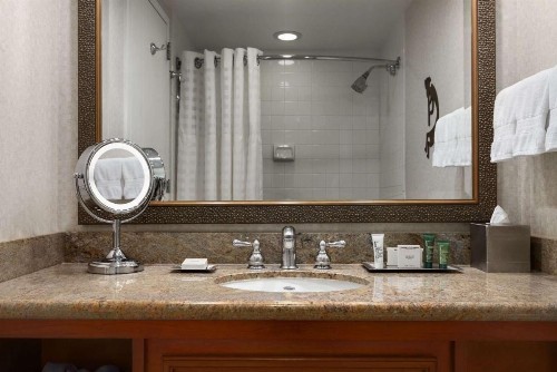 Hilton Phoenix Airport - image 20