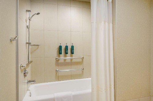 Hilton Phoenix Airport - image 31