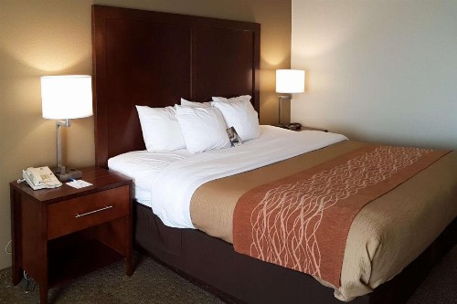 Comfort Inn I-10 West at 51st Ave - image 15