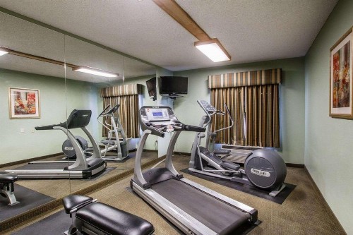 Comfort Inn I-10 West at 51st Ave - image 20