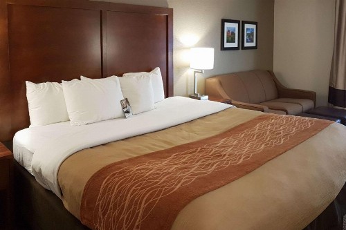 Comfort Inn I-10 West at 51st Ave - image 29