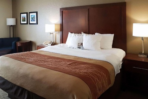 Comfort Inn I-10 West at 51st Ave - image 4