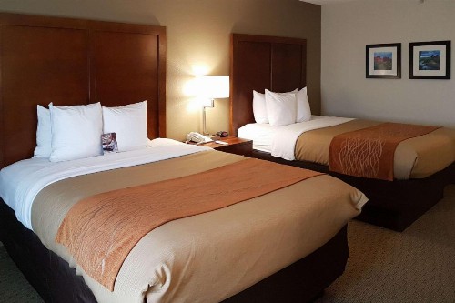 Comfort Inn I-10 West at 51st Ave - image 8