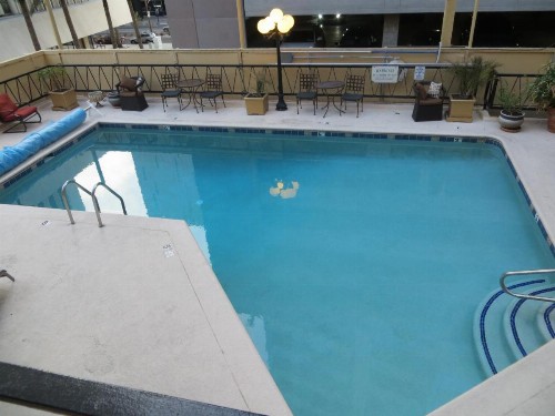 Hotel San Carlos - image 3