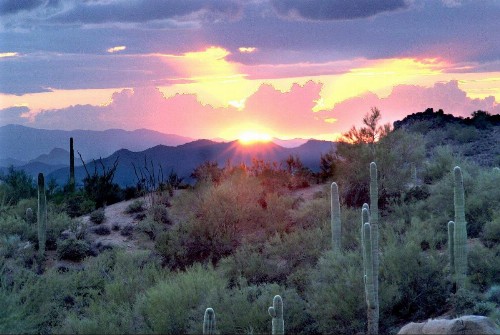 Radisson Hotel Phoenix Airport - image 25
