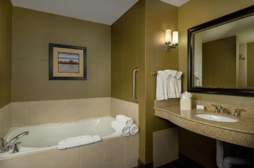 Hilton Garden Inn Phoenix Airport North - image 16