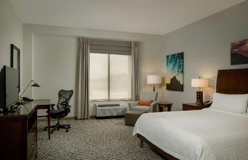 Hilton Garden Inn Phoenix Airport North - image 19