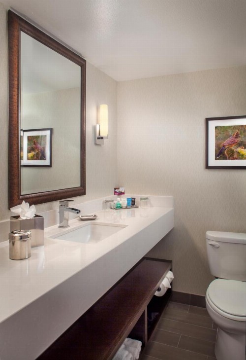 Crowne Plaza Phoenix Airport an IHG Hotel - image 18