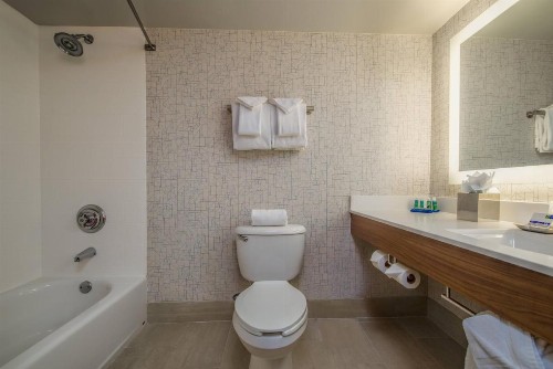 Holiday Inn Express Phoenix-Airport/University Drive an IHG Hotel - image 34