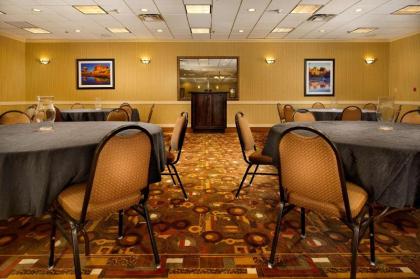 Drury Inn & Suites Phoenix Airport - image 18