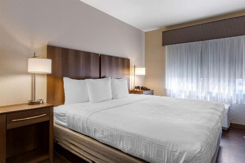 Best Western North Phoenix Hotel - image 22